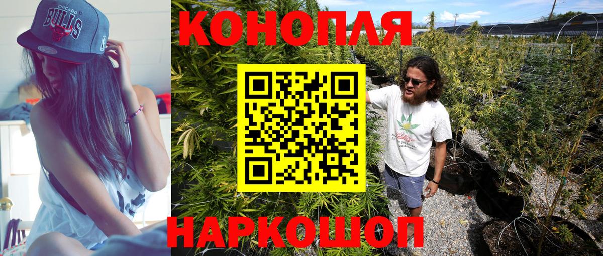 Бошки Шишки SATIVA & INDICA  Бошки Шишки тримм  МАРИХУАНА семена  Шишки марихуана MAZAR  Нижнеудинск  Вход с VPN 